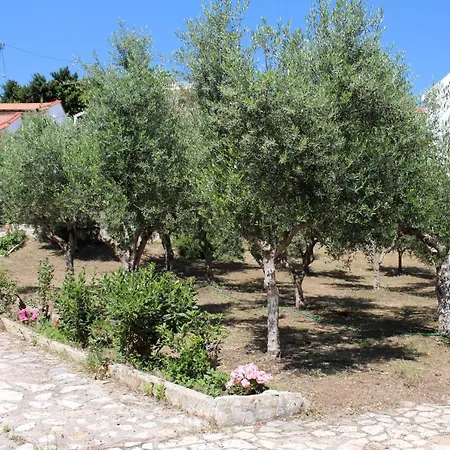 Paradies Nr 5