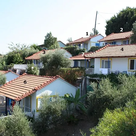 Paradies Nr 5 *